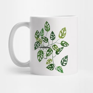 Monstera obliqua interior plant Mug